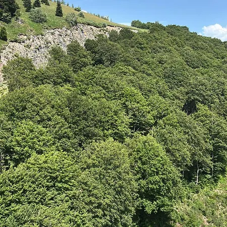 شقة Mountain&view *