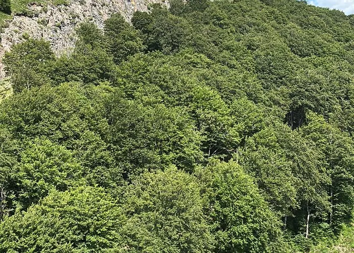 Apartment Mountain&view *